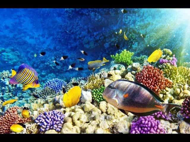 Best Tours in Sharm El-Sheikh City